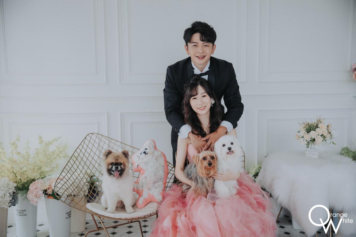 寵物婚紗 一對新婚夫妻與4隻狗的室內婚紗照