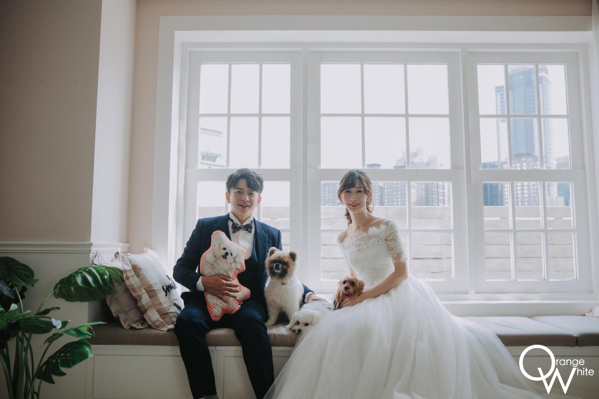 寵物婚紗 一對新婚夫妻與毛孩的室內婚紗照