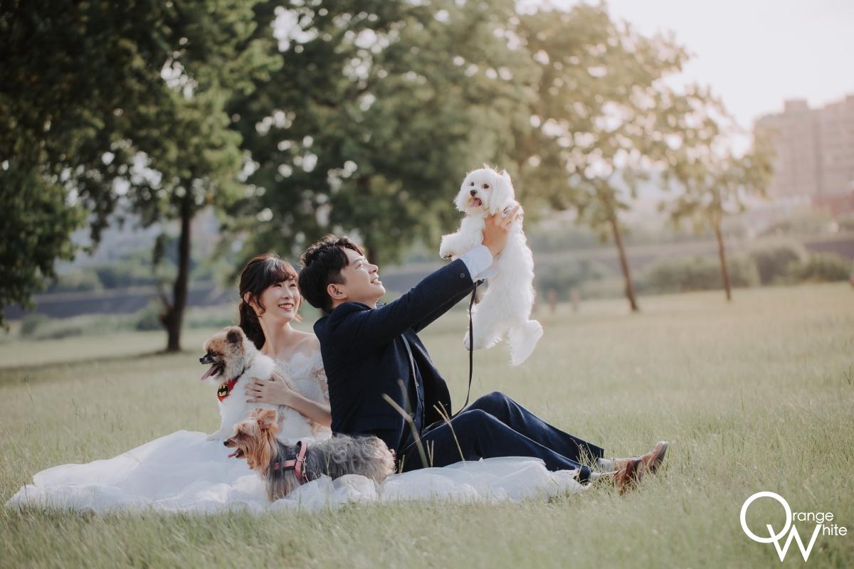 寵物婚紗 一對新婚夫妻的草地婚紗照