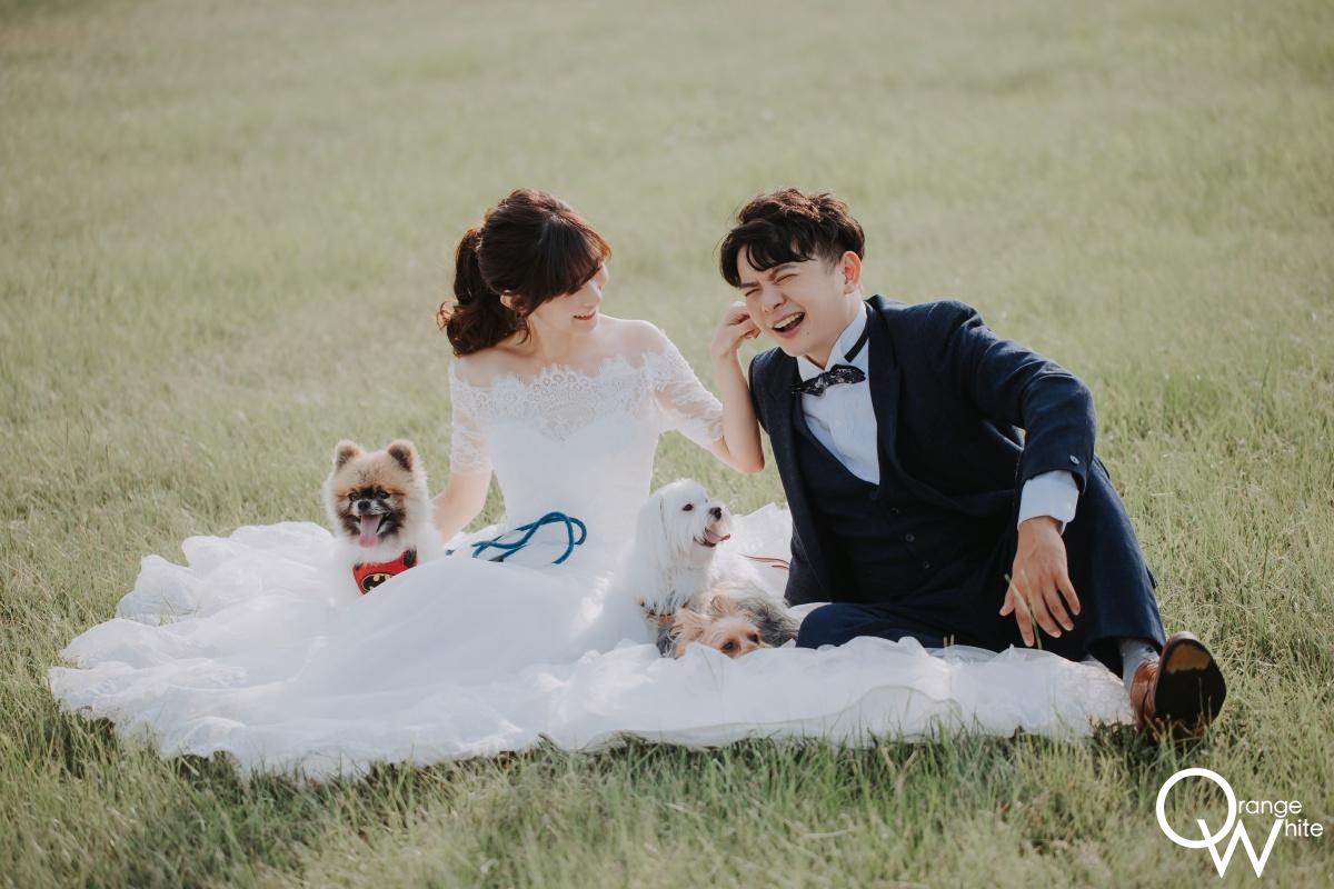 寵物婚紗 一對新婚夫妻3隻毛孩的草地婚紗照