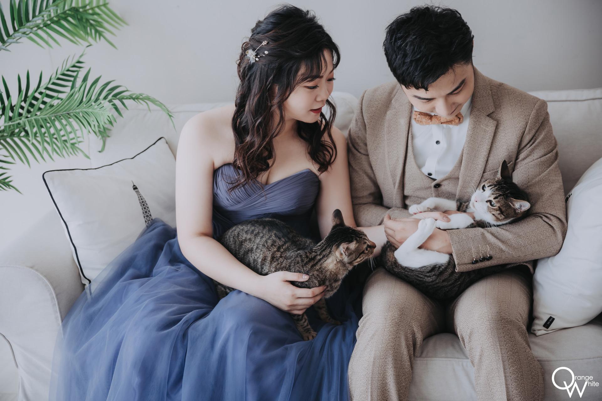 寵物婚紗｜一對新婚夫妻和他們最愛的貓咪一起拍婚紗照