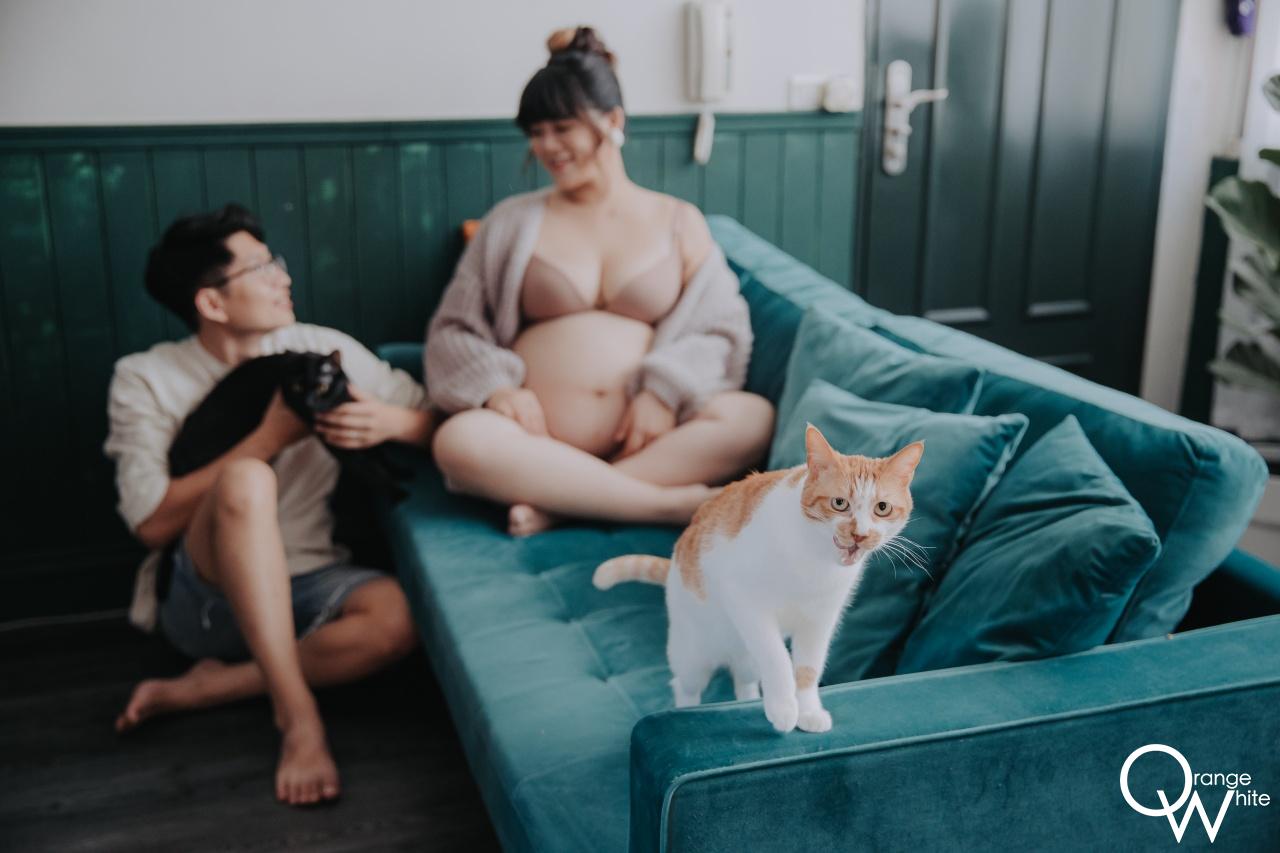 孕婦寫真｜一對夫妻與2隻貓咪的孕婦寫真
