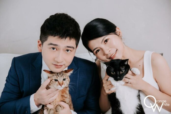 拍攝搞怪風格自助婚紗與兩隻貓咪一起拍攝寵物婚紗